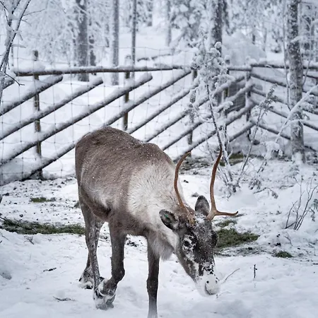 Luxury Lapland Leimu Retreat By Hilla Apartment Yllasjarvi